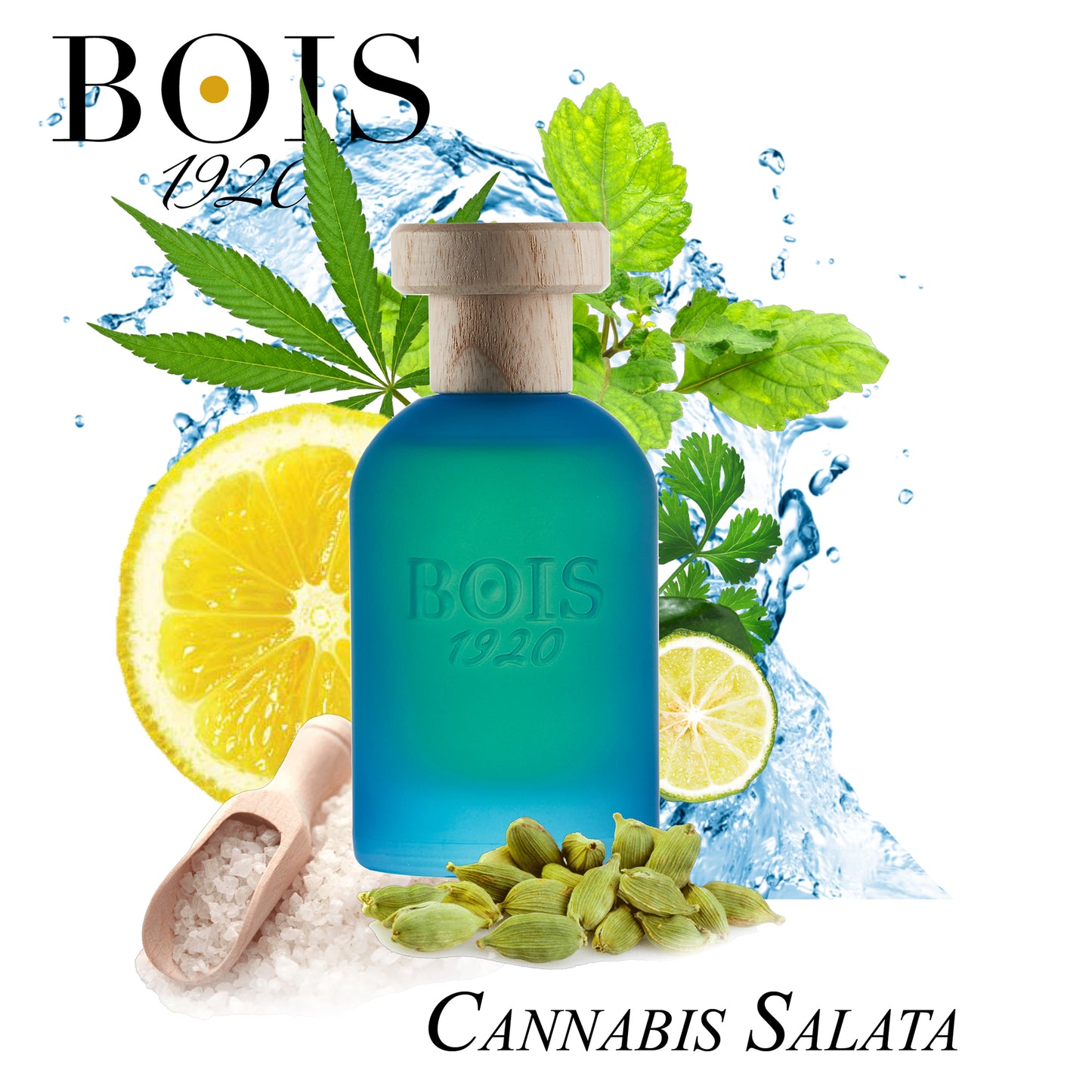 Cannabis Salata EDP