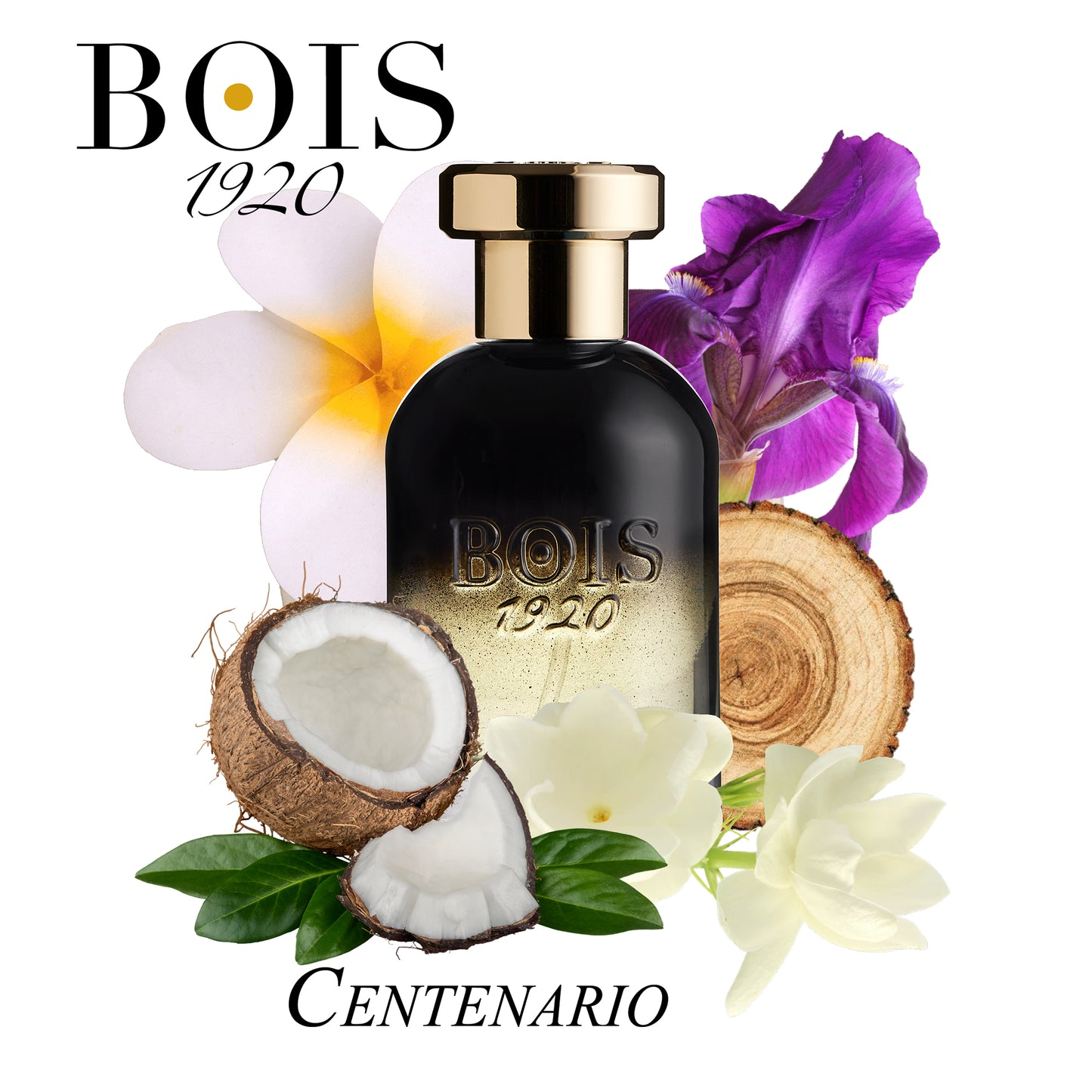 Centenario EDP