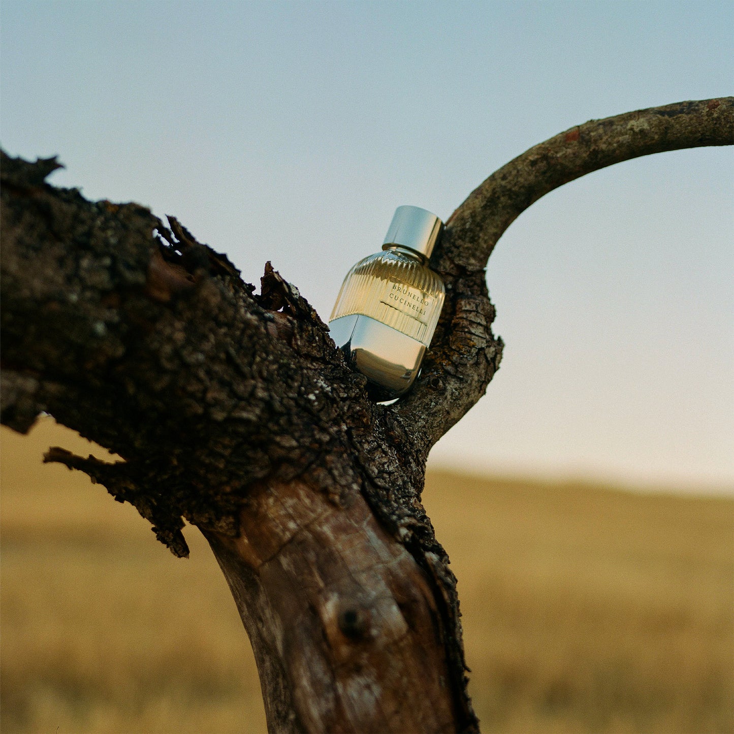 Brunello Cucinelli Pour Homme Eau de Parfum