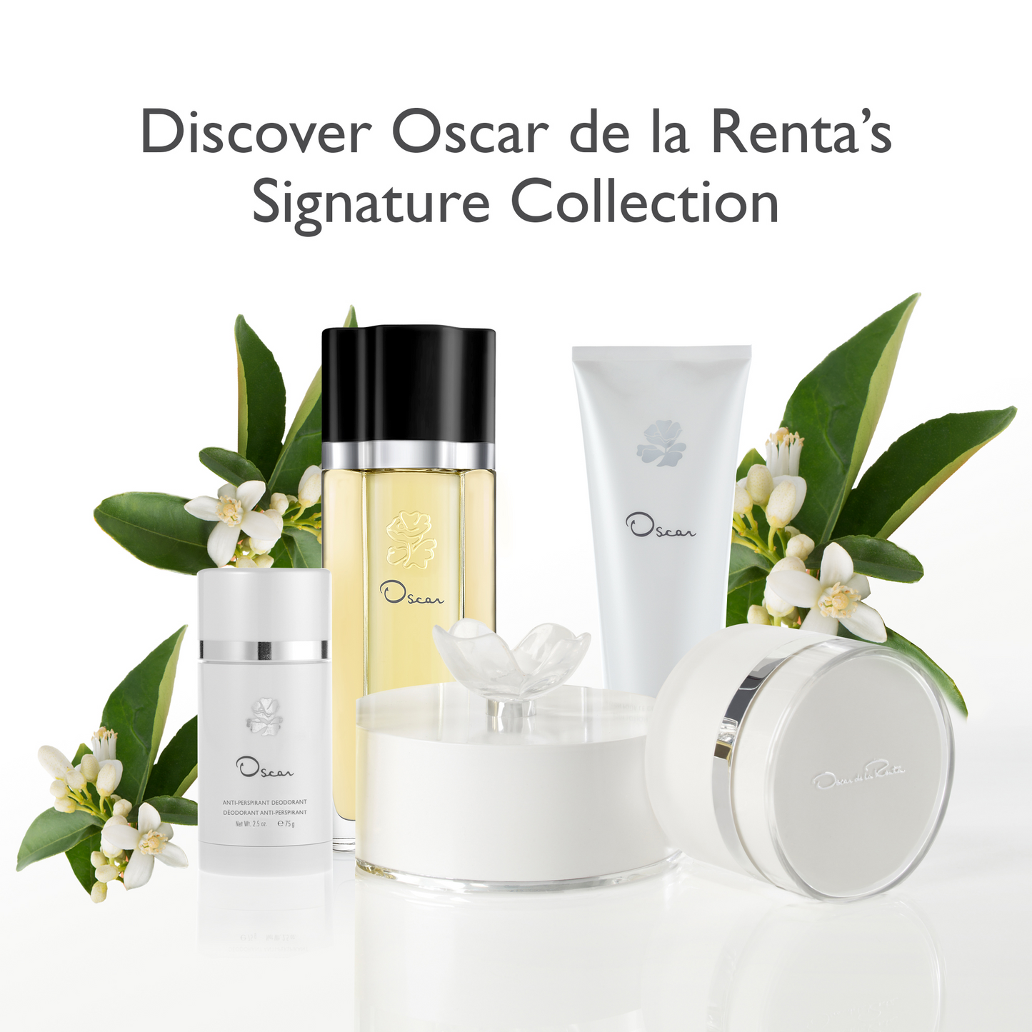 Signature Perfumed Deodorant