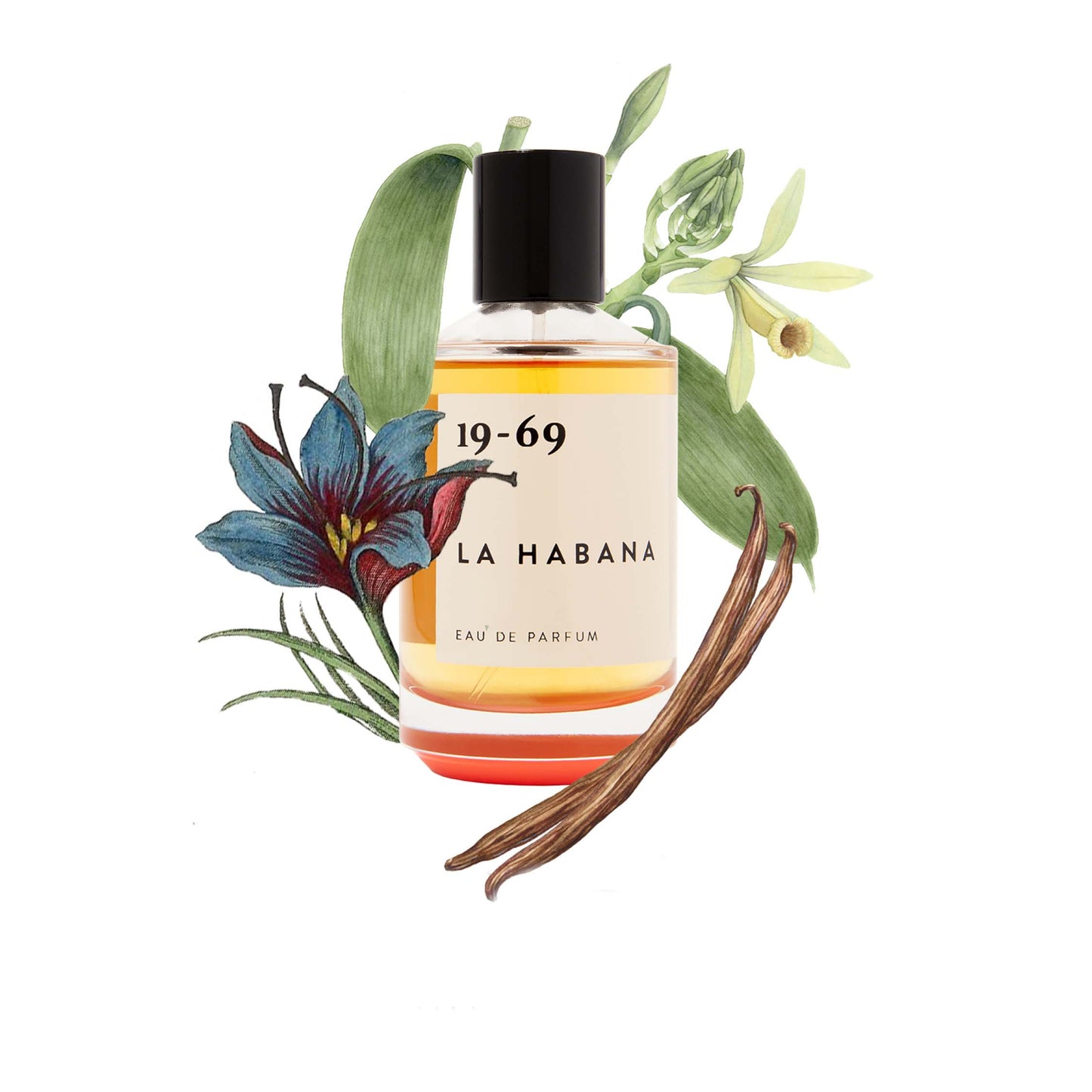 La Habana EDP