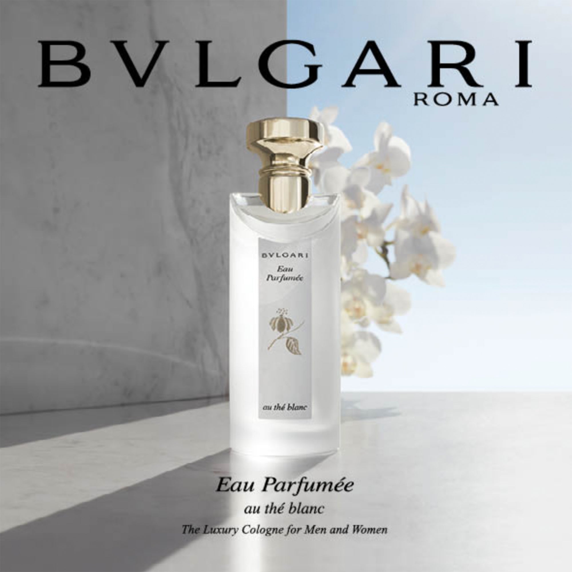 Bvlgari perfume white tea best sale