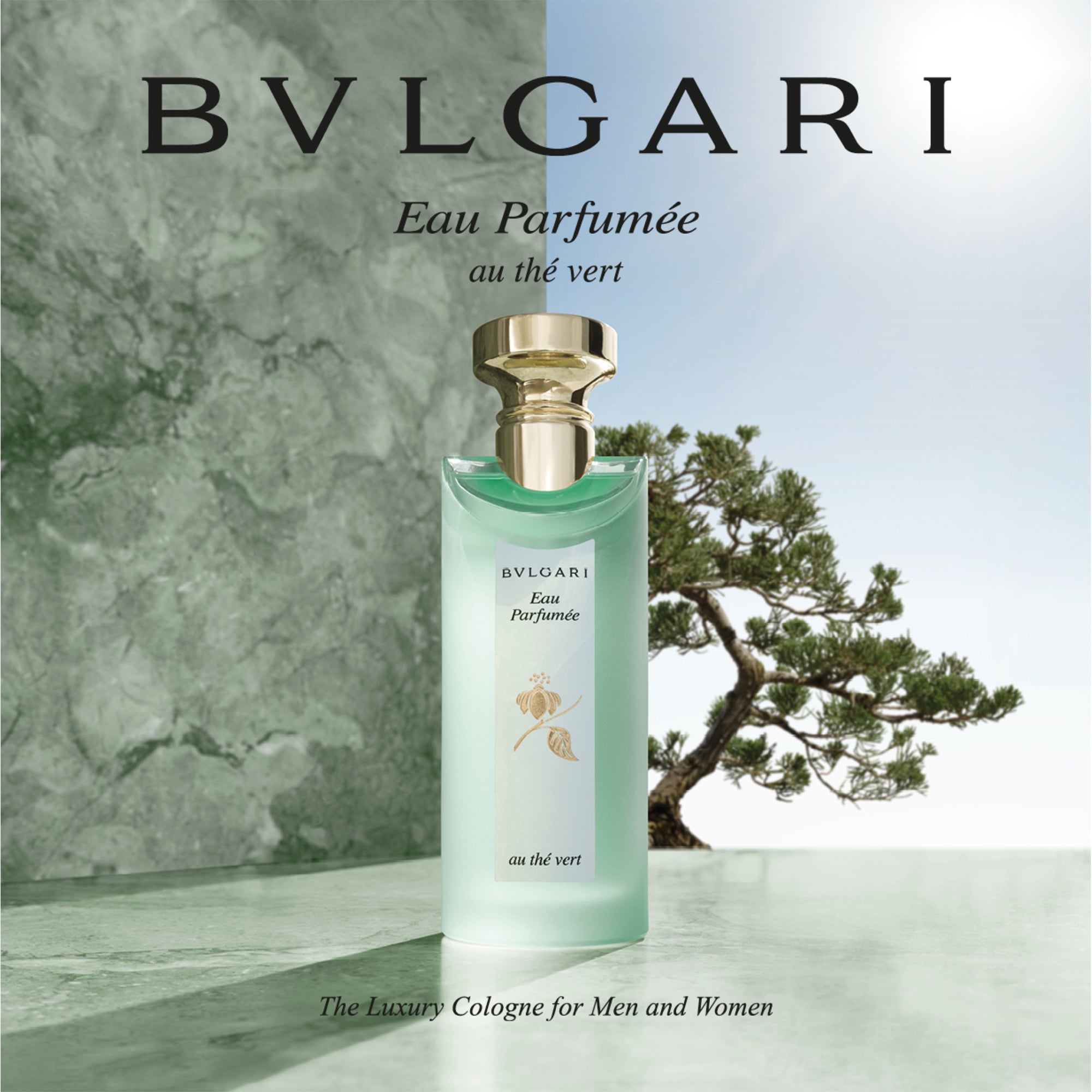 Eau Parfumee Au The Vert Green Tea EDC BVLGARI Scent Lodge