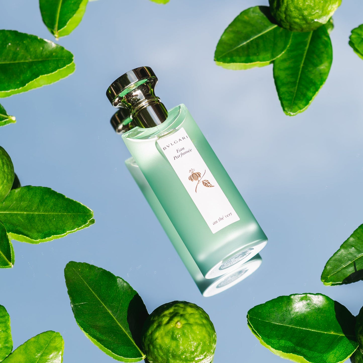 Eau Parfumée Au Thé Vert (Green Tea) EDC