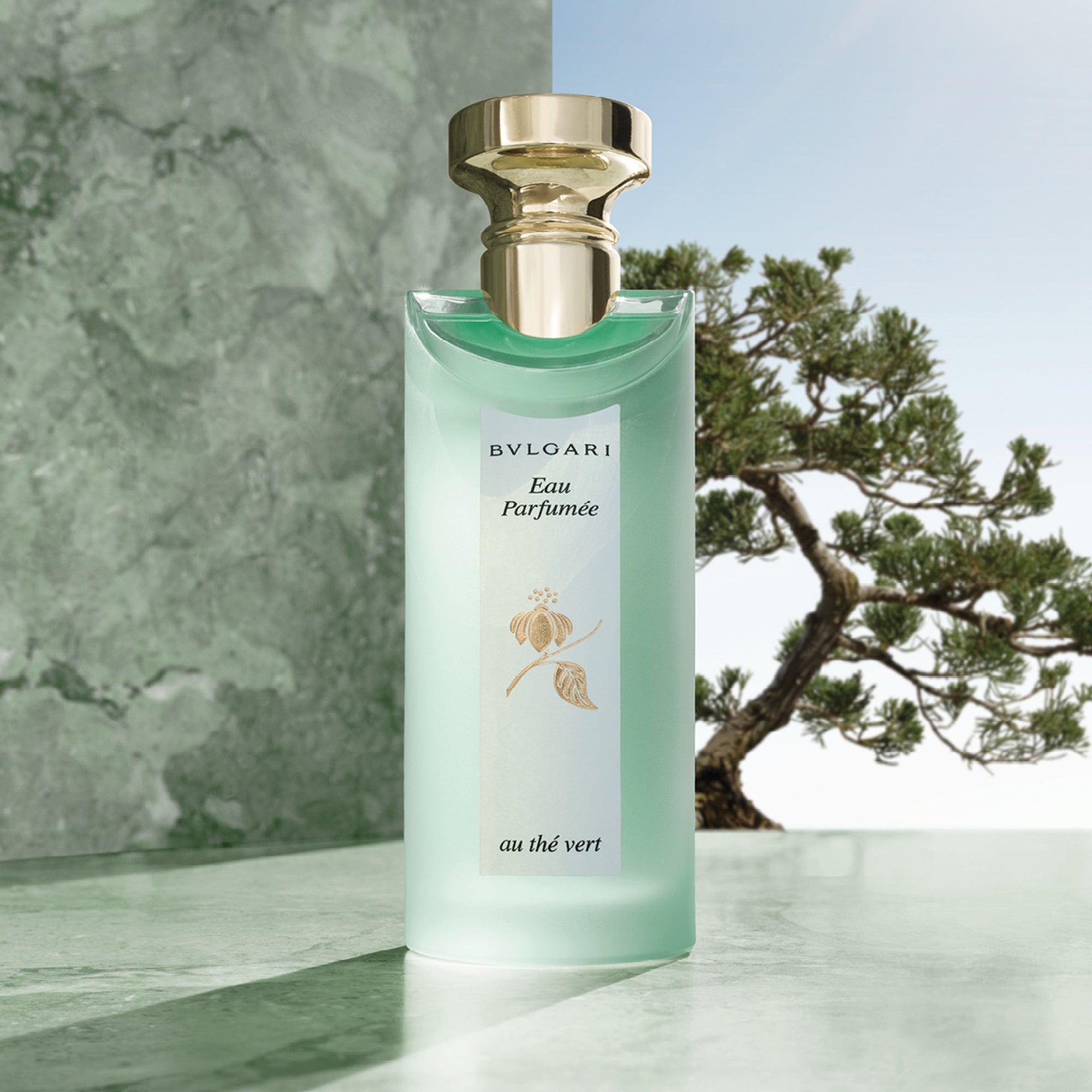 Bvlgari perfume au the vert hotsell