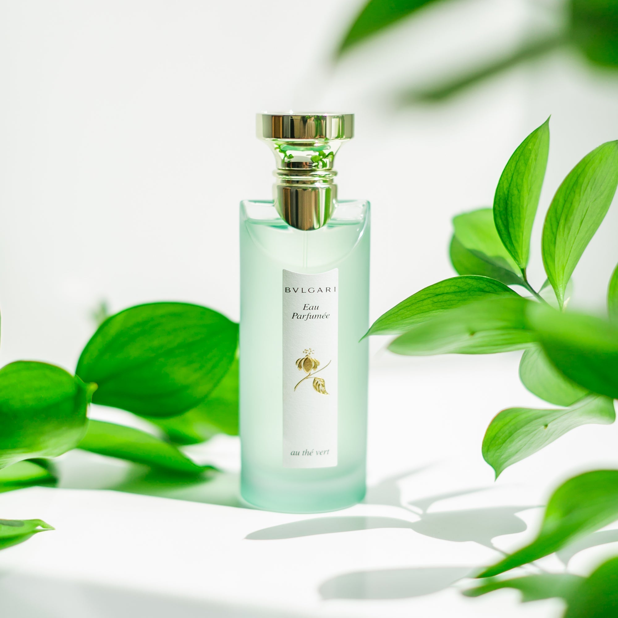 Bvlgari perfume green tea best sale